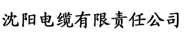 综合网国产精品电缆厂logo